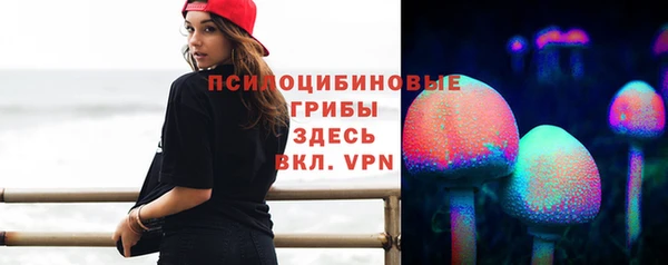 таблы Надым