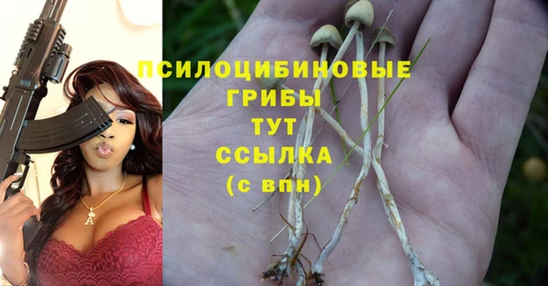 ешки Навашино