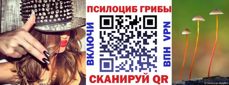 Галлюциногенные грибы MAGIC MUSHROOMS  Купить закладки  Усть-Катав 